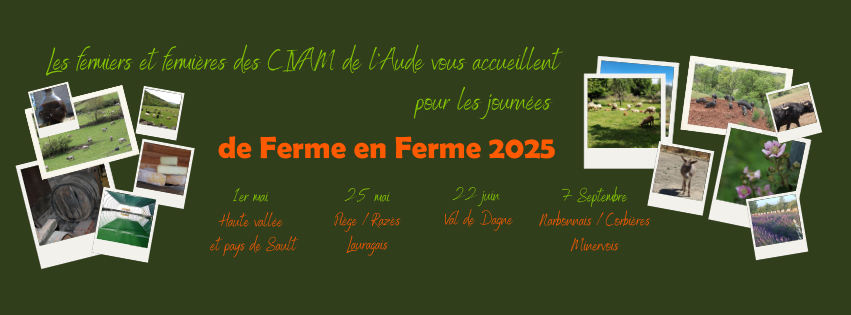 Bandeau_2025_FB_DFF_Aude_Facebook_Cover_1900_x_544_px_Couverture_Facebook.png