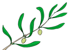 rameau d olivier